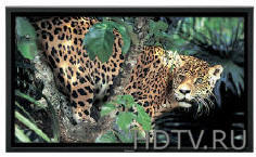 Новый 50-дюймовый плазменный ТВ Panasonic TH-50PF9UK