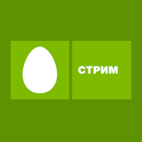 Ушел из “Стрим-ТВ”. Григорий Новицкий нашел себе новое занятие.