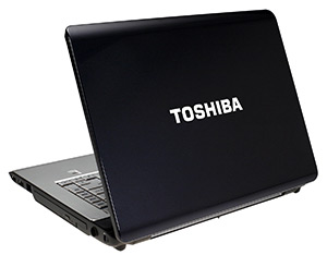 Toshiba    Satellite A215   AMD