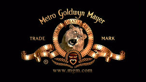     2007  