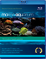 BCI представляет подводный мир 'Marine Aquarium' на Blu-ray BCI представляет подводный мир 'Marine Aquarium' на Blu-ray