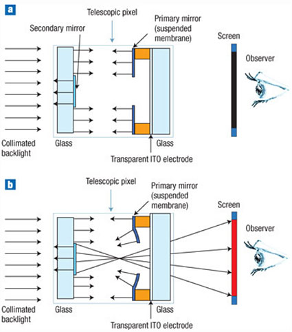 Microsoft   LCD