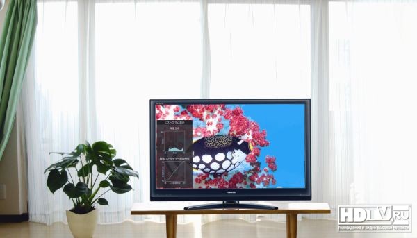 Toshiba представляет новую линейку HD LCD телевизоров REGZA Toshiba представляет новую линейку HD LCD телевизоров REGZA