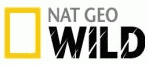 Ofcom выдал лицензию Nat Geo Wild HD Ofcom выдал лицензию Nat Geo Wild HD