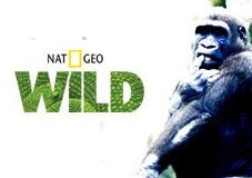 Nat Geo   HD