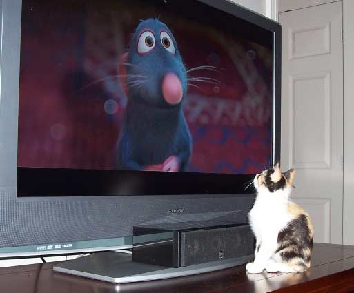 HDTV-готовность — 53% HDTV-готовность — 53%