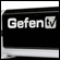  HDMI GefenTV Wireless   1080p/60 .