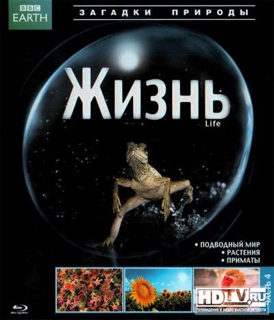 Обзор Blu-Ray диска «Жизнь» Обзор Blu-Ray диска «Жизнь»