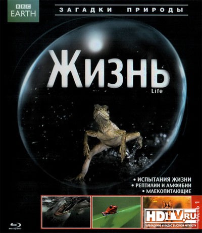 Обзор Blu-Ray диска «Жизнь» Обзор Blu-Ray диска «Жизнь»