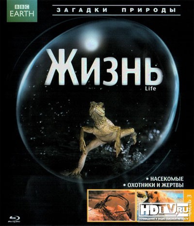 Обзор Blu-Ray диска «Жизнь» Обзор Blu-Ray диска «Жизнь»