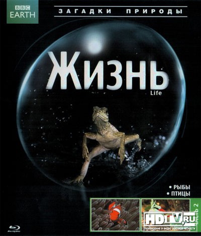Обзор Blu-Ray диска «Жизнь» Обзор Blu-Ray диска «Жизнь»
