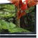 Новые телевизоры семейства Toshiba REGZA