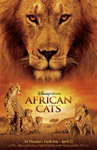 African Cats: Kingdom of Courage/ :  
