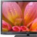 Обзор телевизора Sony KDL- 40EX723