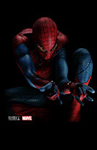 The Amazing Spider-Man/ -