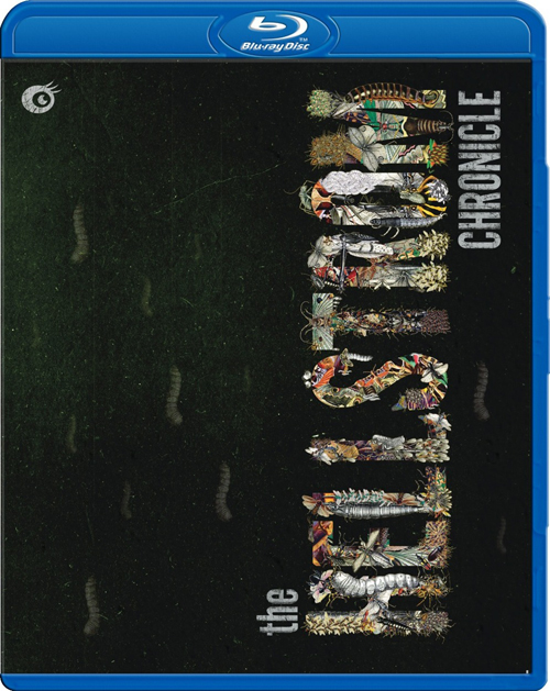 "Хроники Хельстрома" в формате Blu-ray "Хроники Хельстрома" в формате Blu-ray