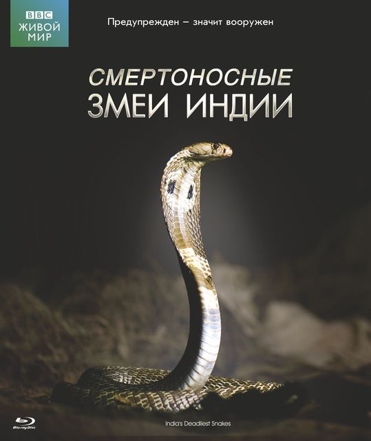 "Смертоносные змеи Индии" выходят в новом формате "Смертоносные змеи Индии" выходят в новом формате