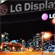 LG Display    OLED 