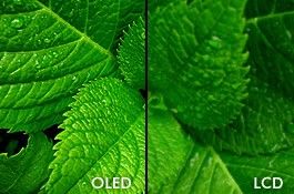 Samsung переходит с OLED на ЖК? Samsung переходит с OLED на ЖК?