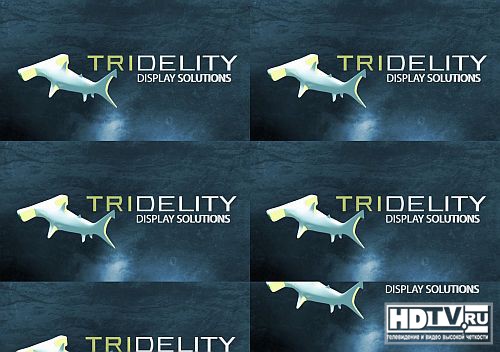 Компания Tridelity покажет общественные 3D видеосистемы Компания Tridelity покажет общественные 3D видеосистемы