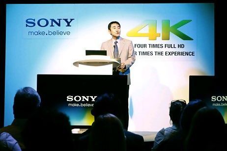 Sony представляет телевизоры для собак Sony представляет телевизоры для собак