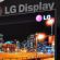 LG Display        OLED