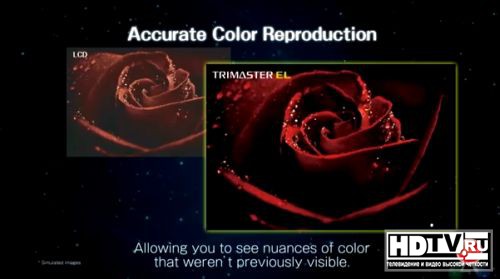 Sony сравнивает свои OLED мониторы с ЖК LED моделями Sony сравнивает свои OLED мониторы с ЖК LED моделями