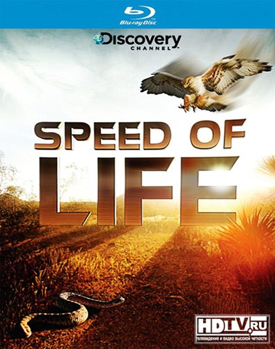Документальные фильмы Discovery на BD Документальные фильмы Discovery на BD