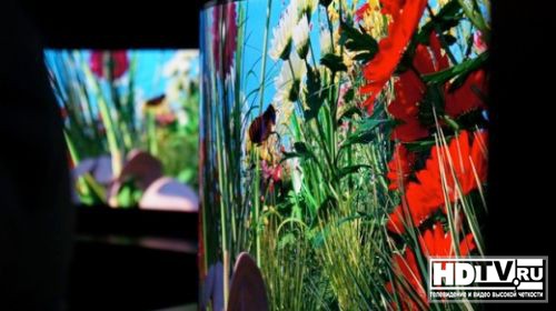 Panasonic продолжает разработку OLED телевизоров Panasonic продолжает разработку OLED телевизоров
