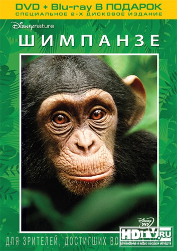"Шимпанзе" выйдет на дисках Blu-ray "Шимпанзе" выйдет на дисках Blu-ray