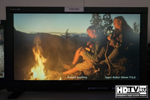 Sony выпускает  профессиональный 30"4K OLED монитор