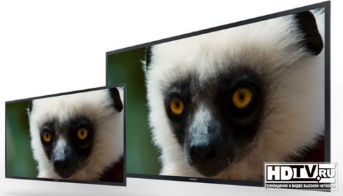 OLED монитор Sony отмечен наградой американской Киноакадемии OLED монитор Sony отмечен наградой американской Киноакадемии