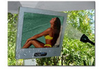 SunBrite   HD-