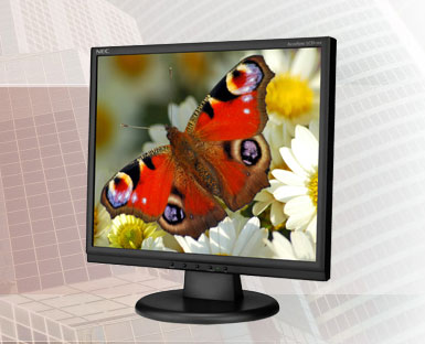 NEC    AccuSync 	