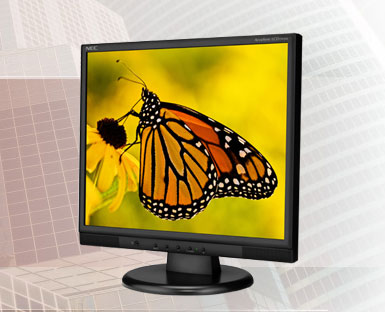 NEC    AccuSync 	