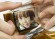 OLED-    
