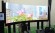 Shinoda Plasma  125-  