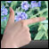 Sony VAIO L  ,   Blu-ray     multi-touch