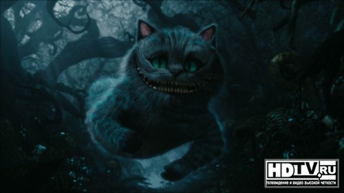  Blu-Ray     