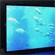 3D  Sony   OLED 