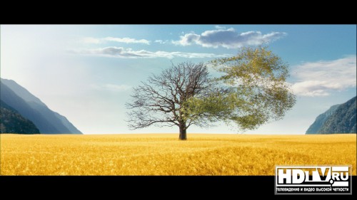  Blu-Ray   