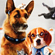 "  :   "   Blu-ray
