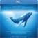  Blu-Ray  