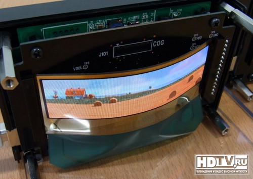  OLED  TDK