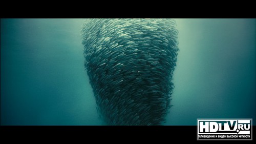  Blu-Ray  