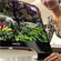  3D  Samsung