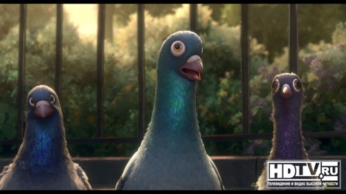  Blu-Ray 3D  