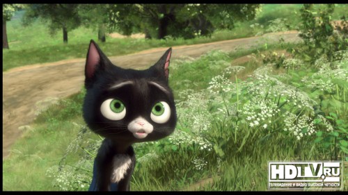  Blu-Ray 3D  