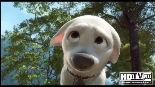  Blu-Ray 3D  