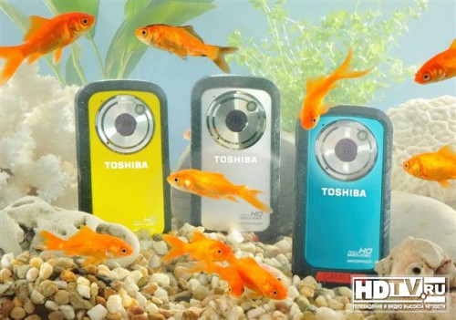   Toshiba CAMILEO BW10